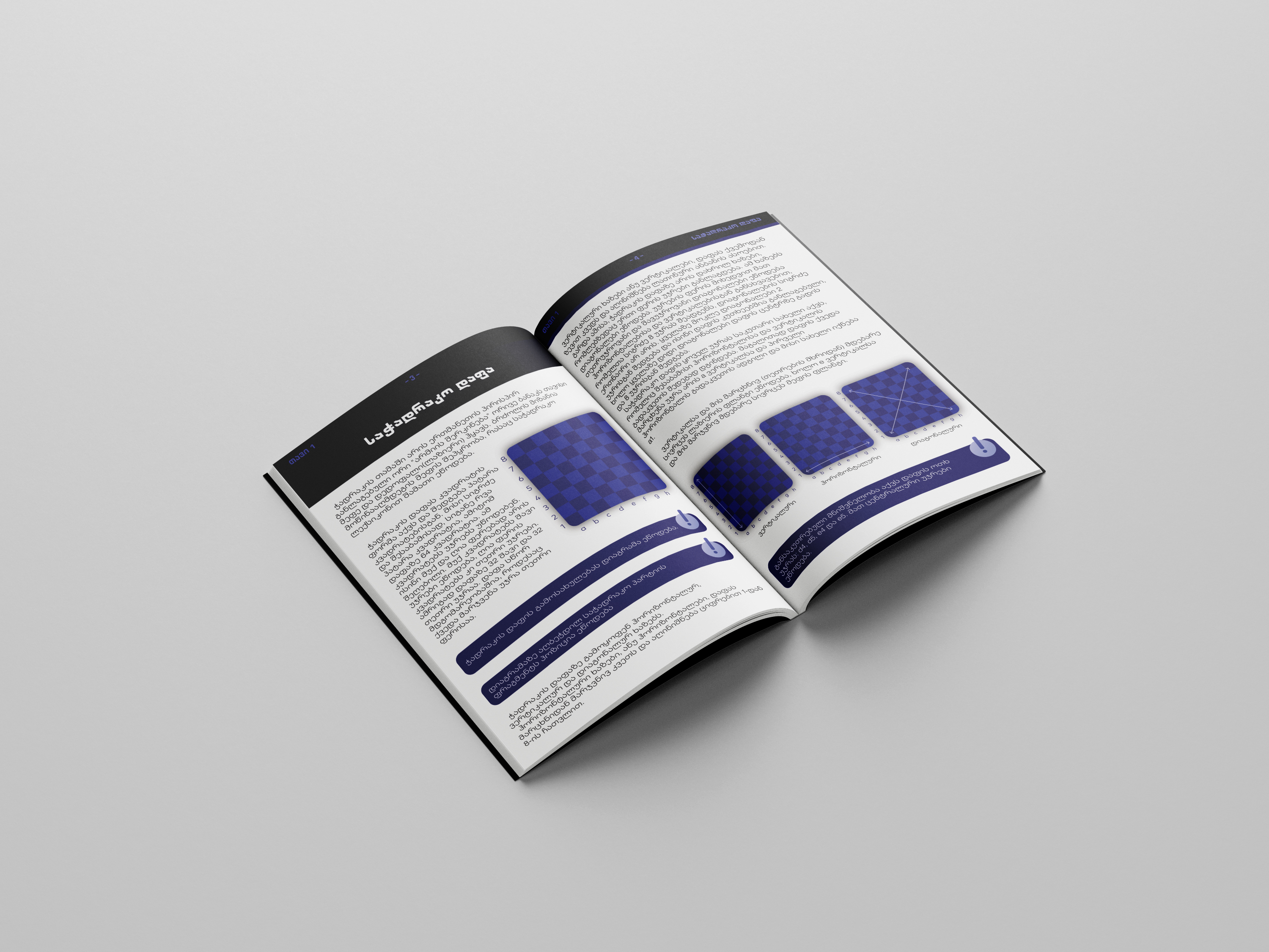 Chess book ჭადრაკის წიგნი